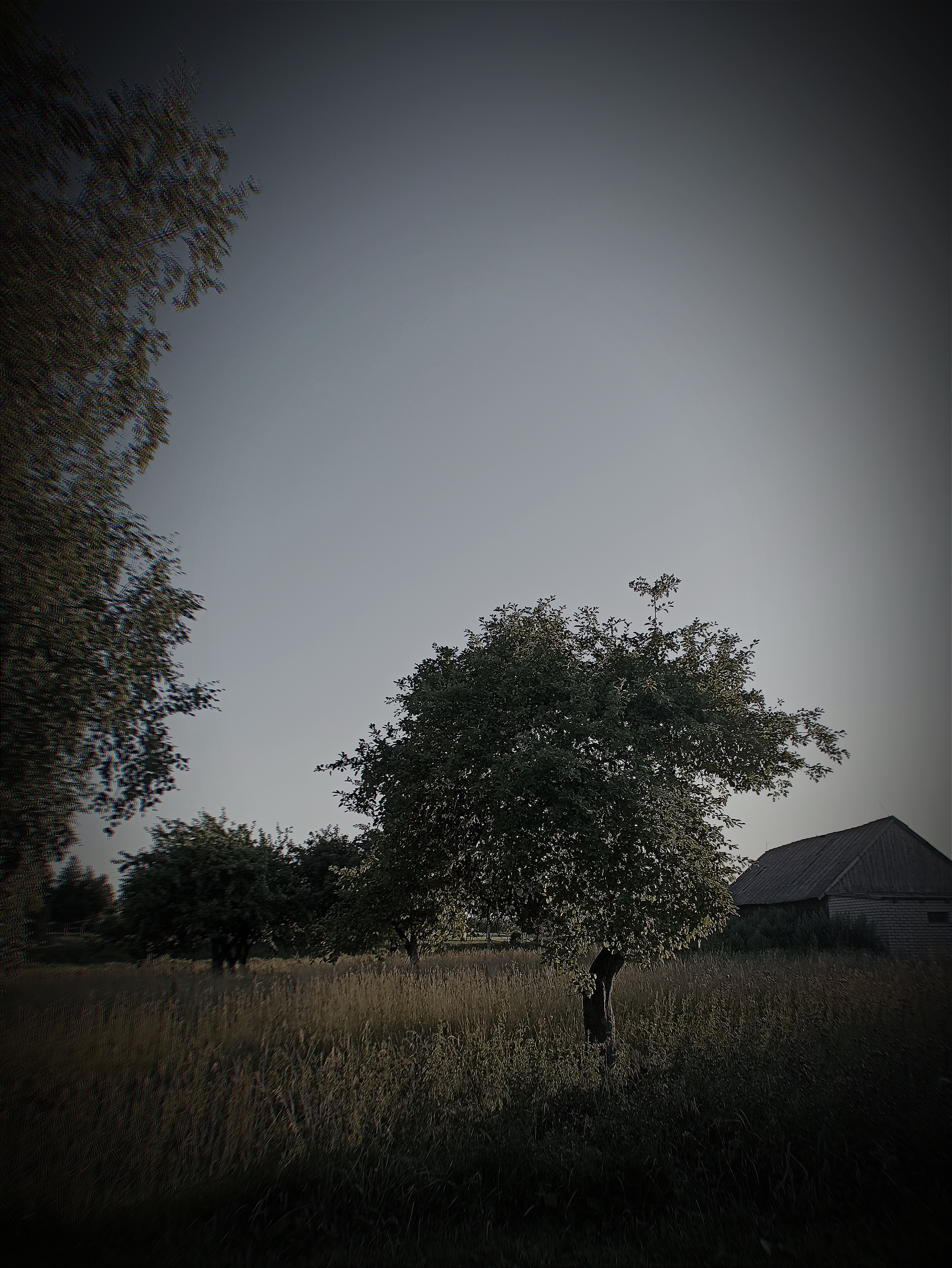 Rural landscape